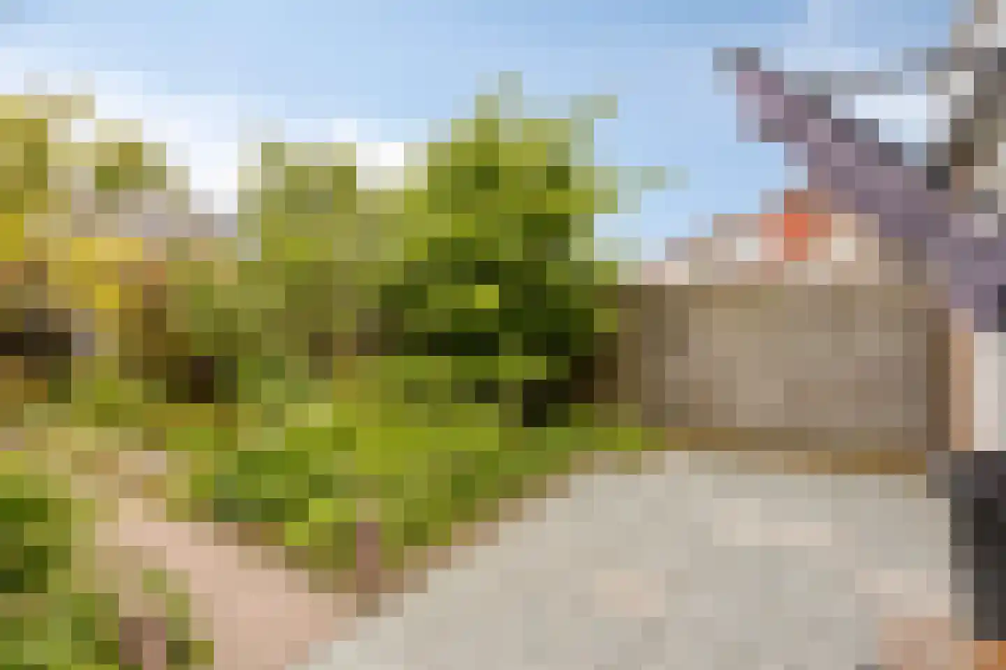 Tituslaan 28 Beuningen Gld thumbnail 23
