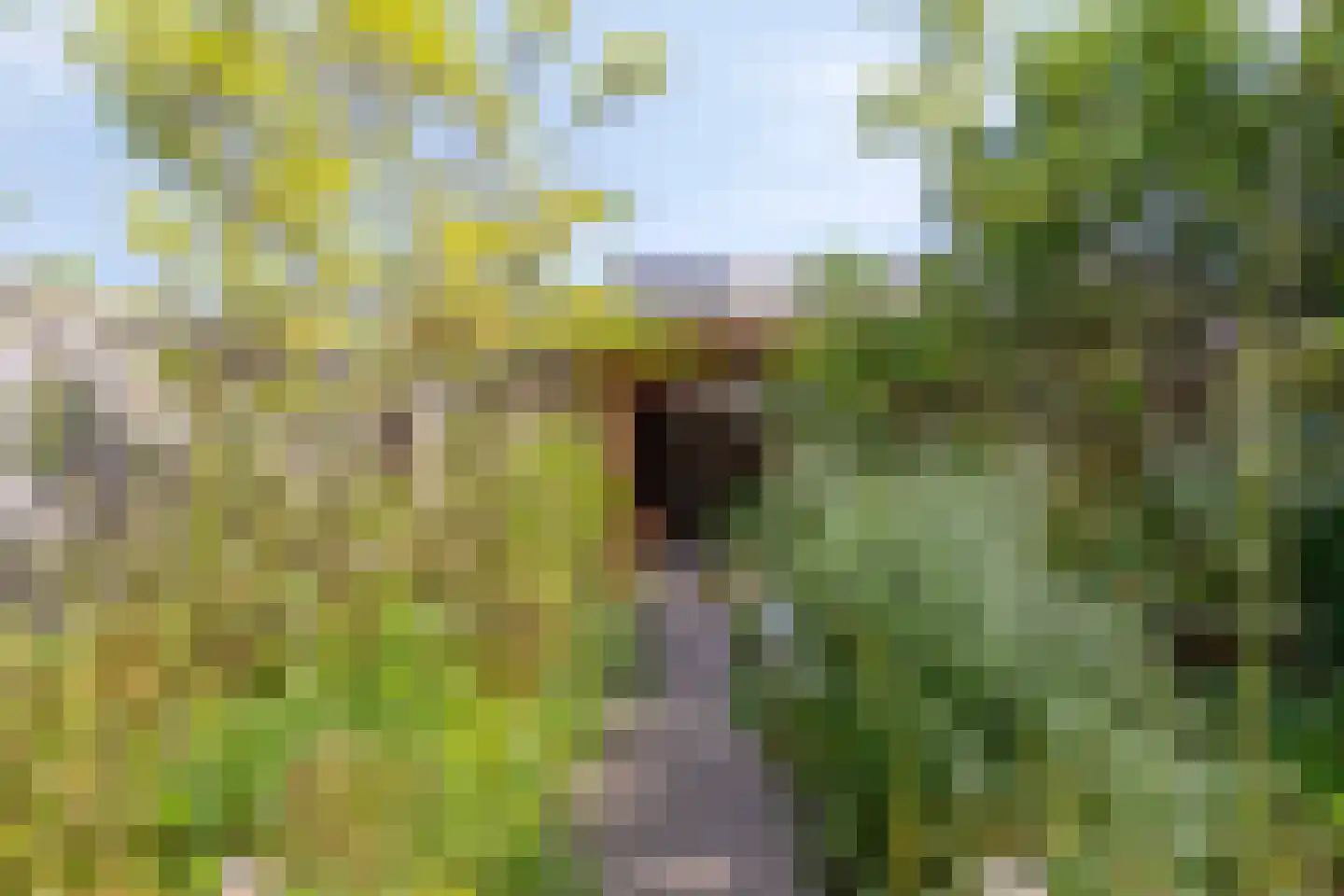 Tituslaan 28 Beuningen Gld thumbnail 29