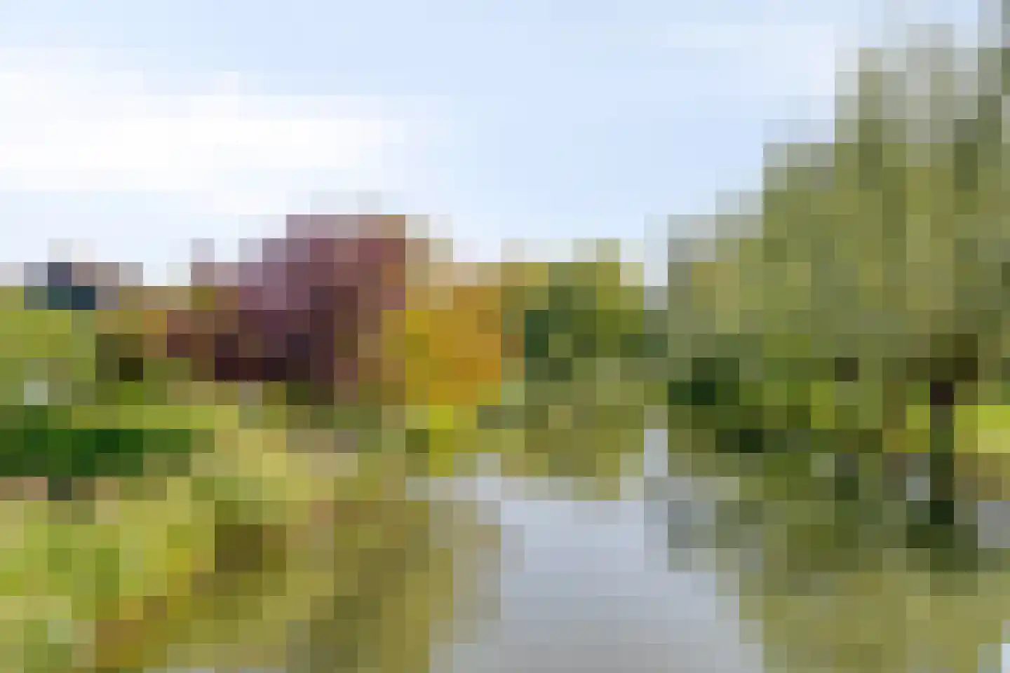 Tituslaan 28 Beuningen Gld thumbnail 39