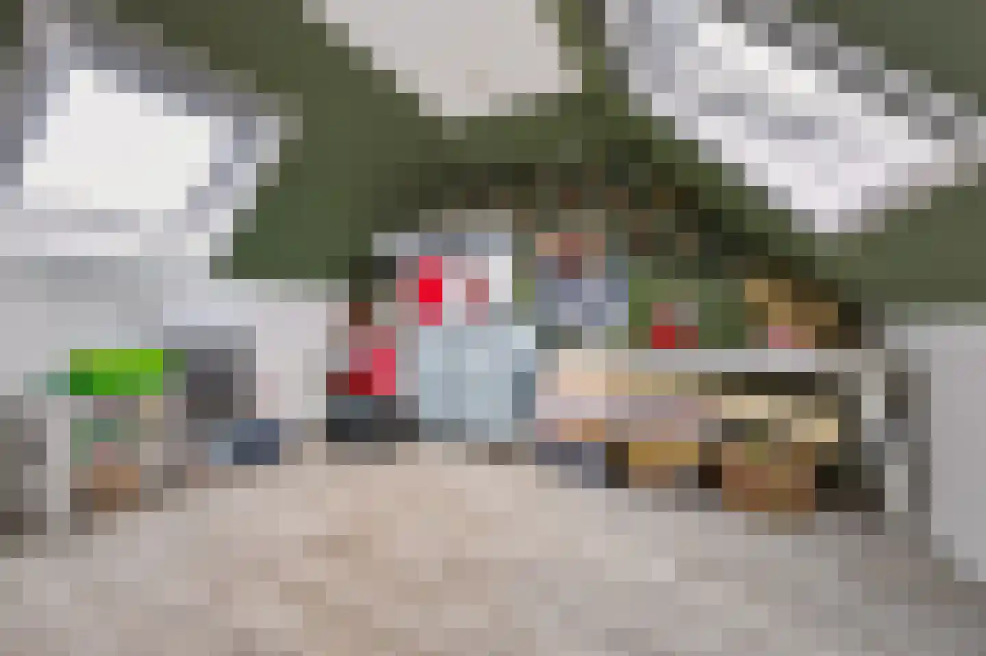 Tituslaan 38 Beuningen Gld thumbnail 30