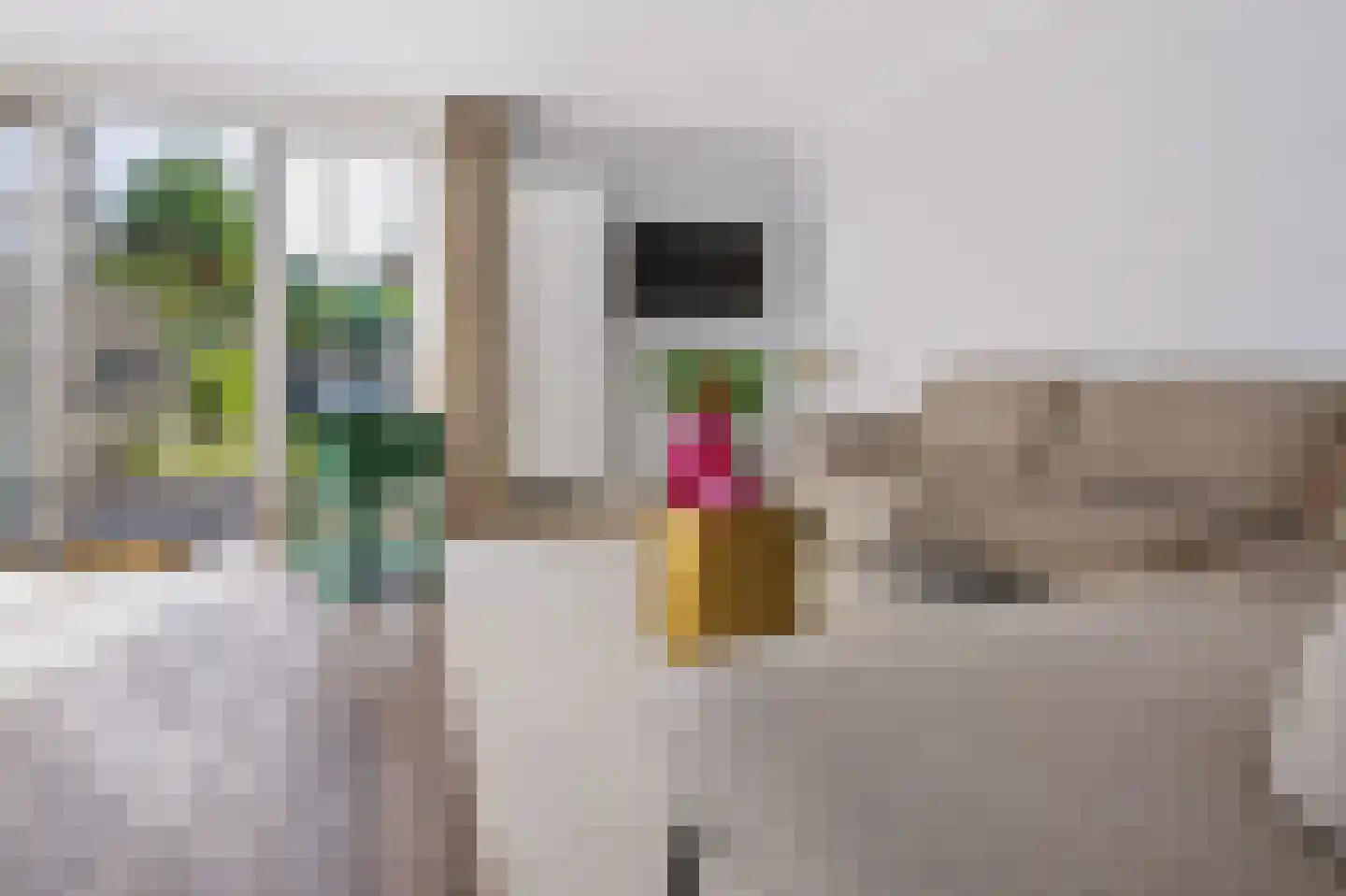 Tituslaan 38 Beuningen Gld thumbnail 4