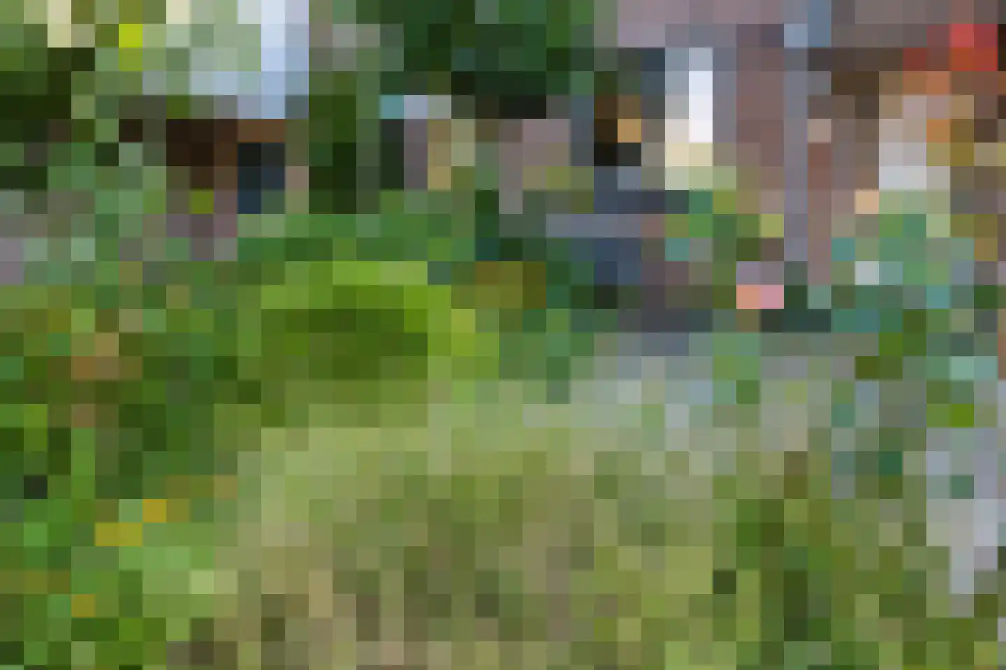 Tituslaan 38 Beuningen Gld thumbnail 40