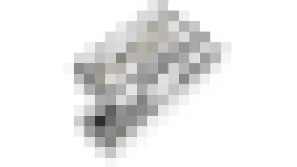 Tituslaan 38 Beuningen Gld thumbnail 51