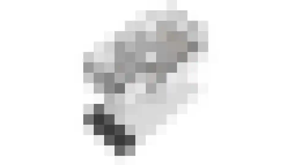 Tituslaan 38 Beuningen Gld thumbnail 54