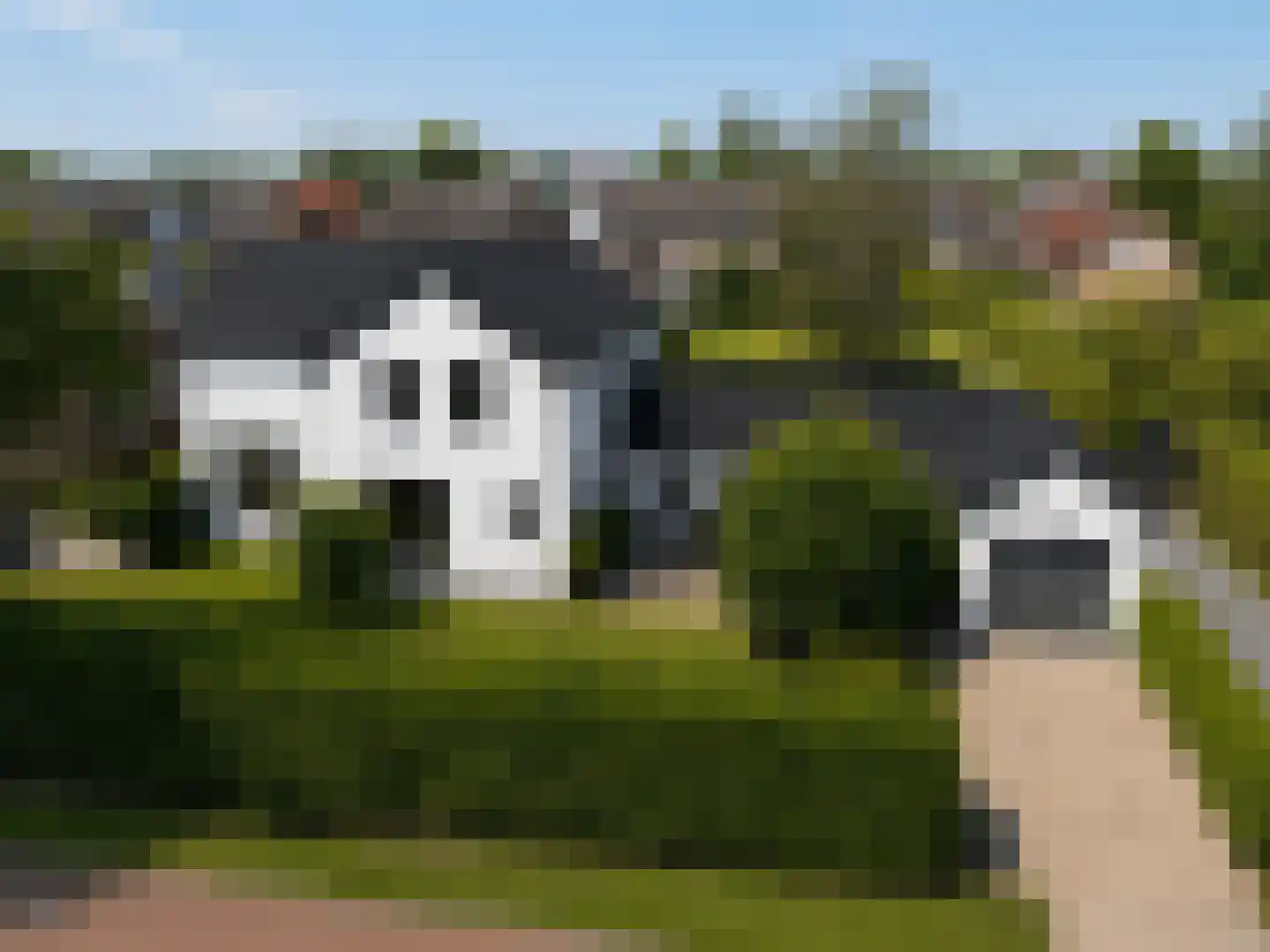 Tivoli 2 IJzendijke thumbnail 25