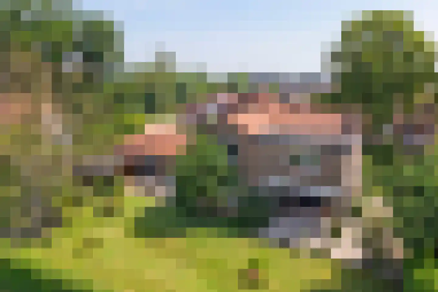 Tivoli 2 IJzendijke thumbnail 4