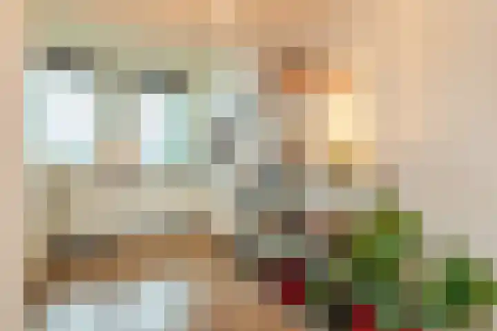 Tivolilaan 157 Arnhem thumbnail 16