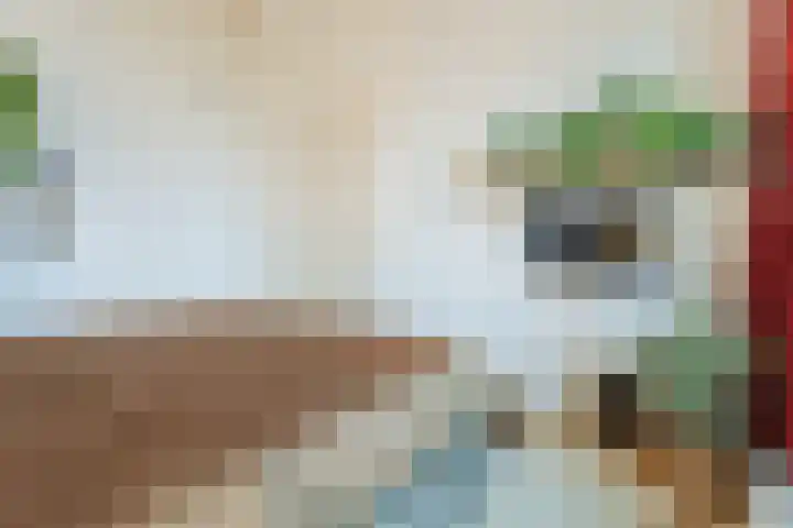 Tivolilaan 157 Arnhem thumbnail 19