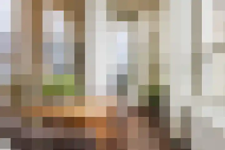Tivolilaan 157 Arnhem thumbnail 22