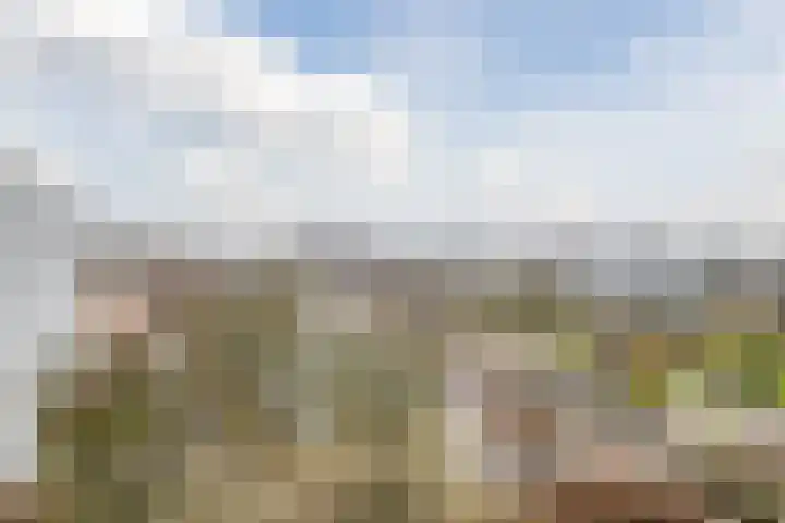 Tivolilaan 157 Arnhem thumbnail 24