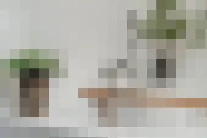 Tivolilaan 157 Arnhem thumbnail 27