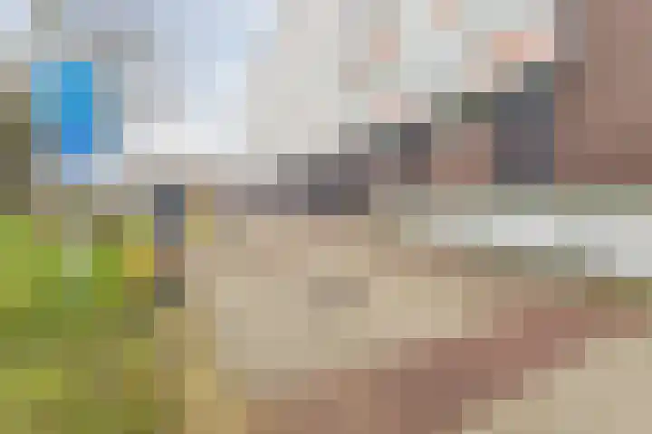 Tivolilaan 157 Arnhem thumbnail 42