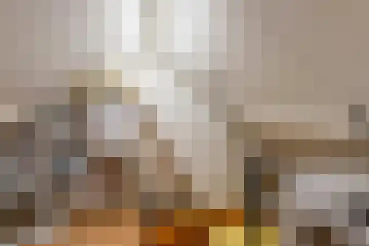 Tivolilaan 39 Eindhoven thumbnail 18