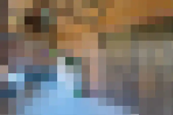 Tivolilaan 39 Eindhoven thumbnail 22