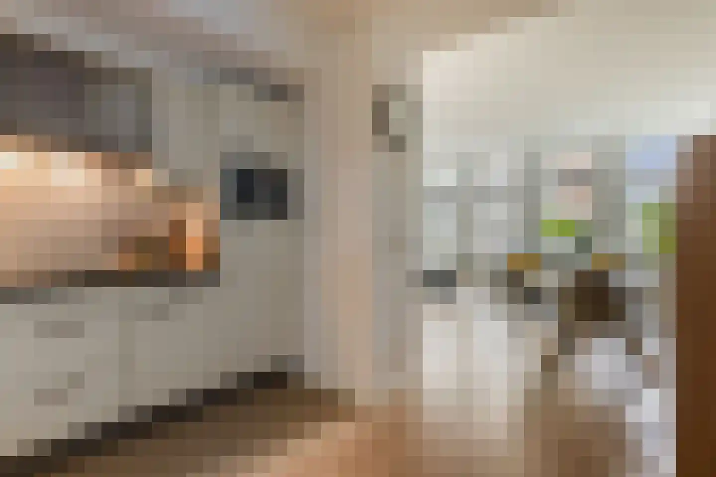 Tivolilaan 57 Arnhem thumbnail 14