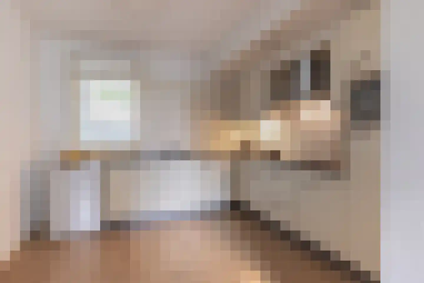Tivolilaan 57 Arnhem thumbnail 15