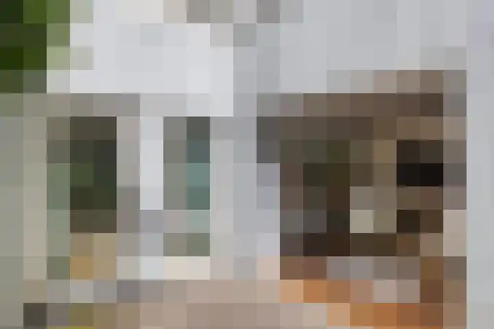 Tivolilaan 57 Arnhem thumbnail 18