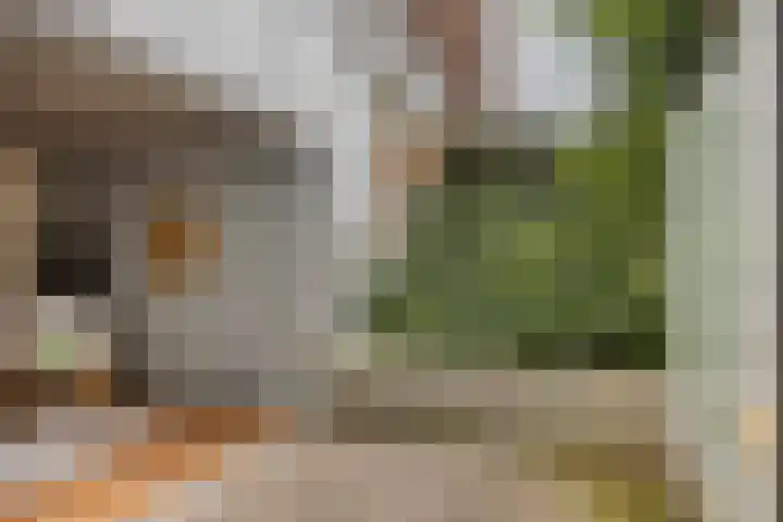 Tivolilaan 57 Arnhem thumbnail 19