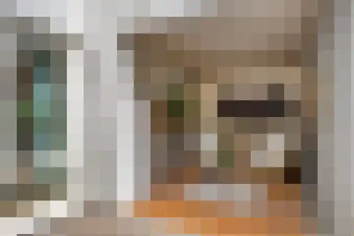 Tivolilaan 57 Arnhem thumbnail 20