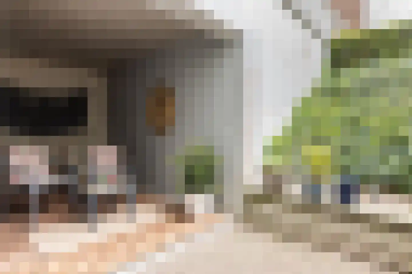 Tivolilaan 57 Arnhem thumbnail 20
