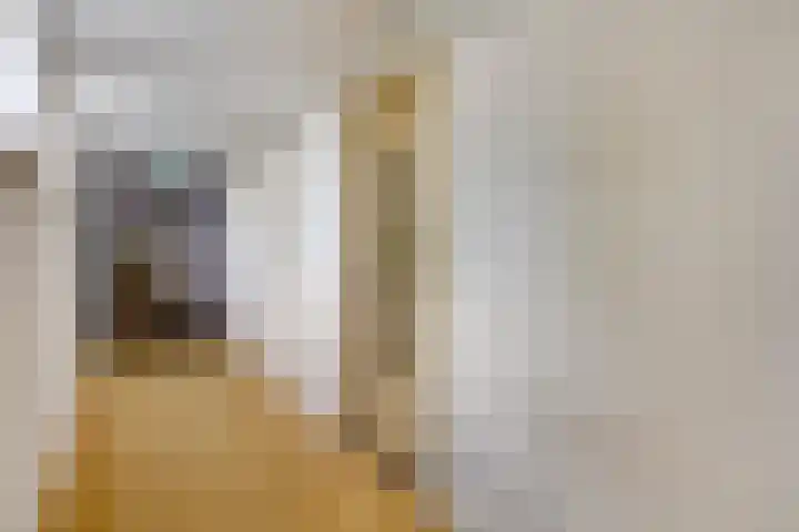 Tivolilaan 57 Arnhem thumbnail 23