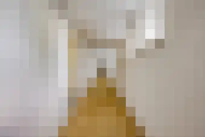 Tivolilaan 57 Arnhem thumbnail 24