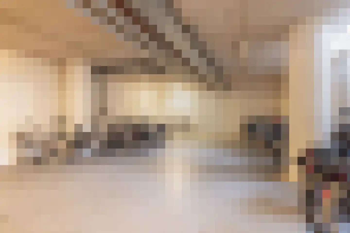 Tivolilaan 57 Arnhem thumbnail 24
