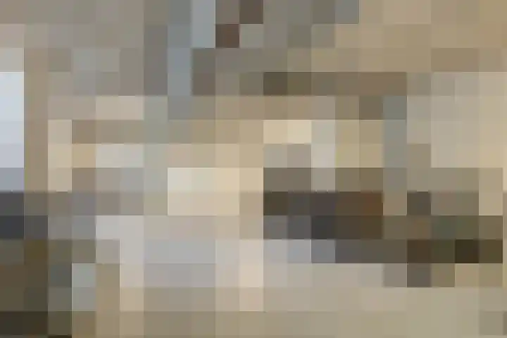 Tivolilaan 57 Arnhem thumbnail 26
