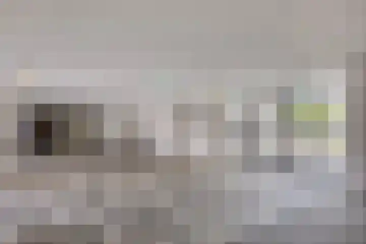 Tivolilaan 57 Arnhem thumbnail 30