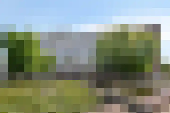Tivolilaan 57 Arnhem thumbnail 32