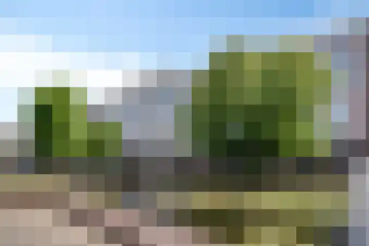 Tivolilaan 57 Arnhem thumbnail 34