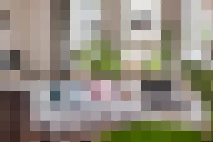 Tivolilaan 57 Arnhem thumbnail 4