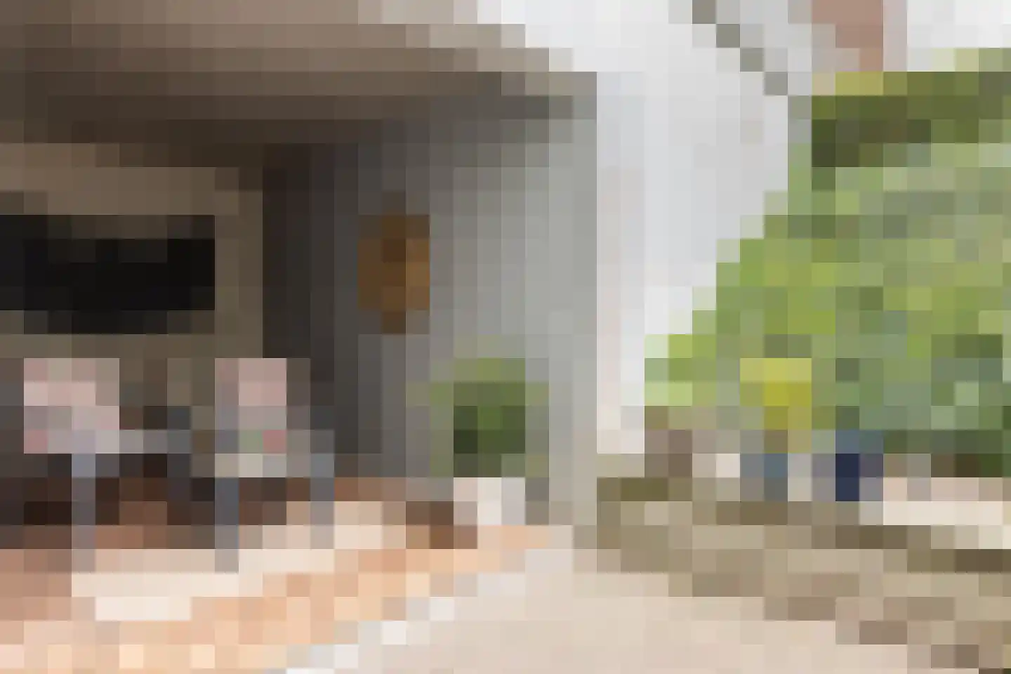 Tivolilaan 57 Arnhem thumbnail 4