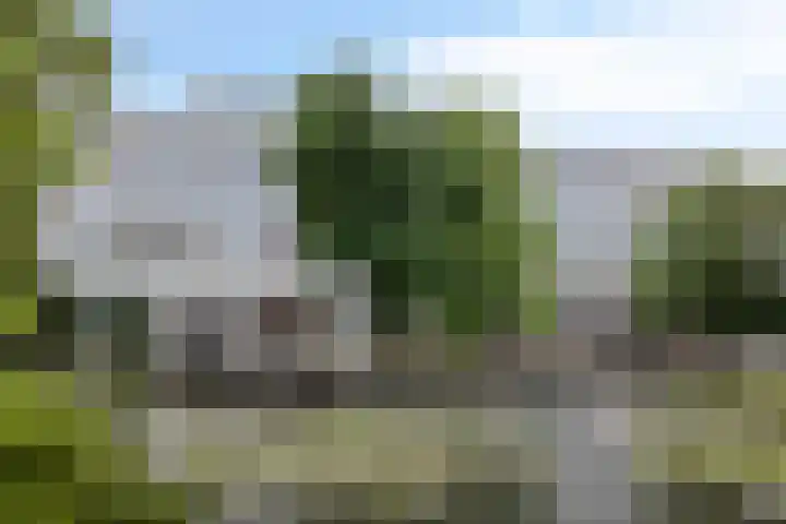 Tivolilaan 57 Arnhem thumbnail 41