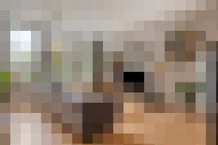 Tivolilaan 57 Arnhem thumbnail 7