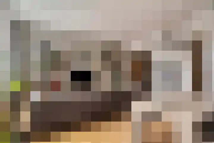 Tivolilaan 57 Arnhem thumbnail 8
