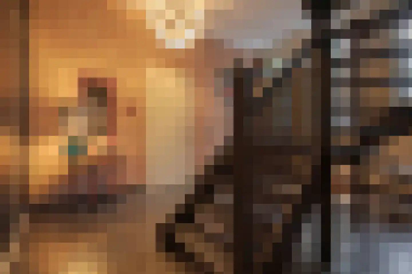 Tivolilaan 59 Arnhem thumbnail 32