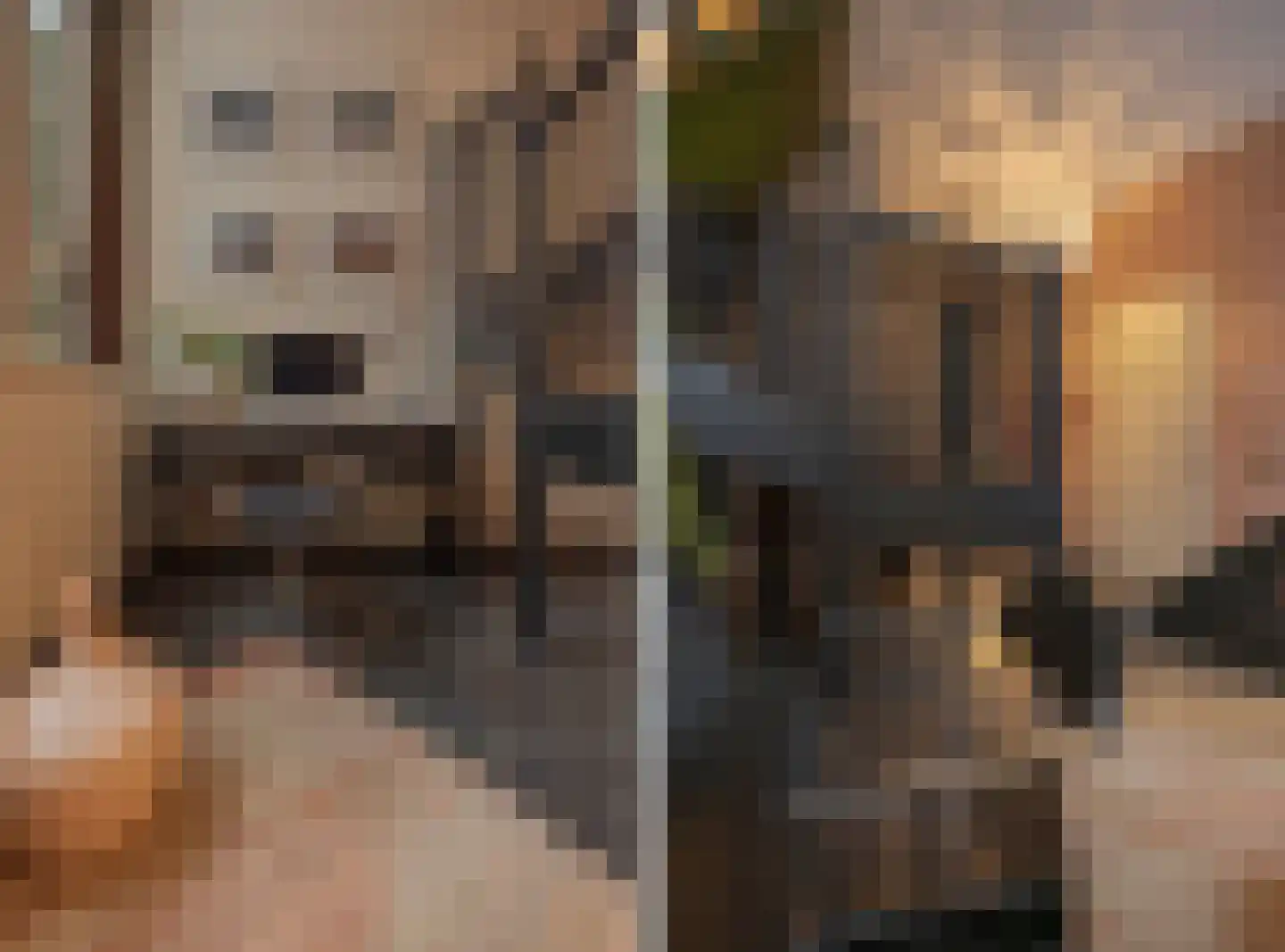 Tivolilaan 59 Arnhem thumbnail 37