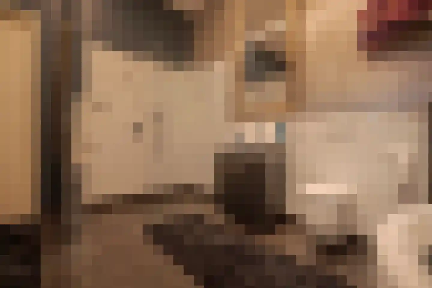 Tivolilaan 59 Arnhem thumbnail 48