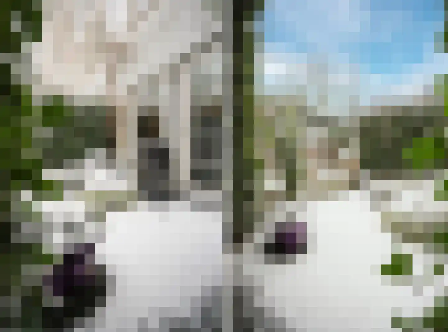 Tivolilaan 59 Arnhem thumbnail 49