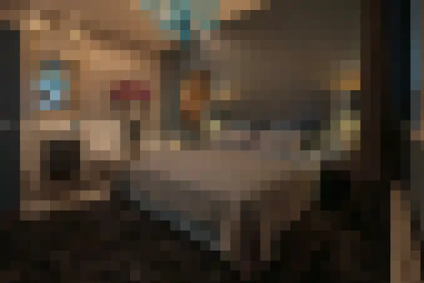 Tivolilaan 59 Arnhem thumbnail 5