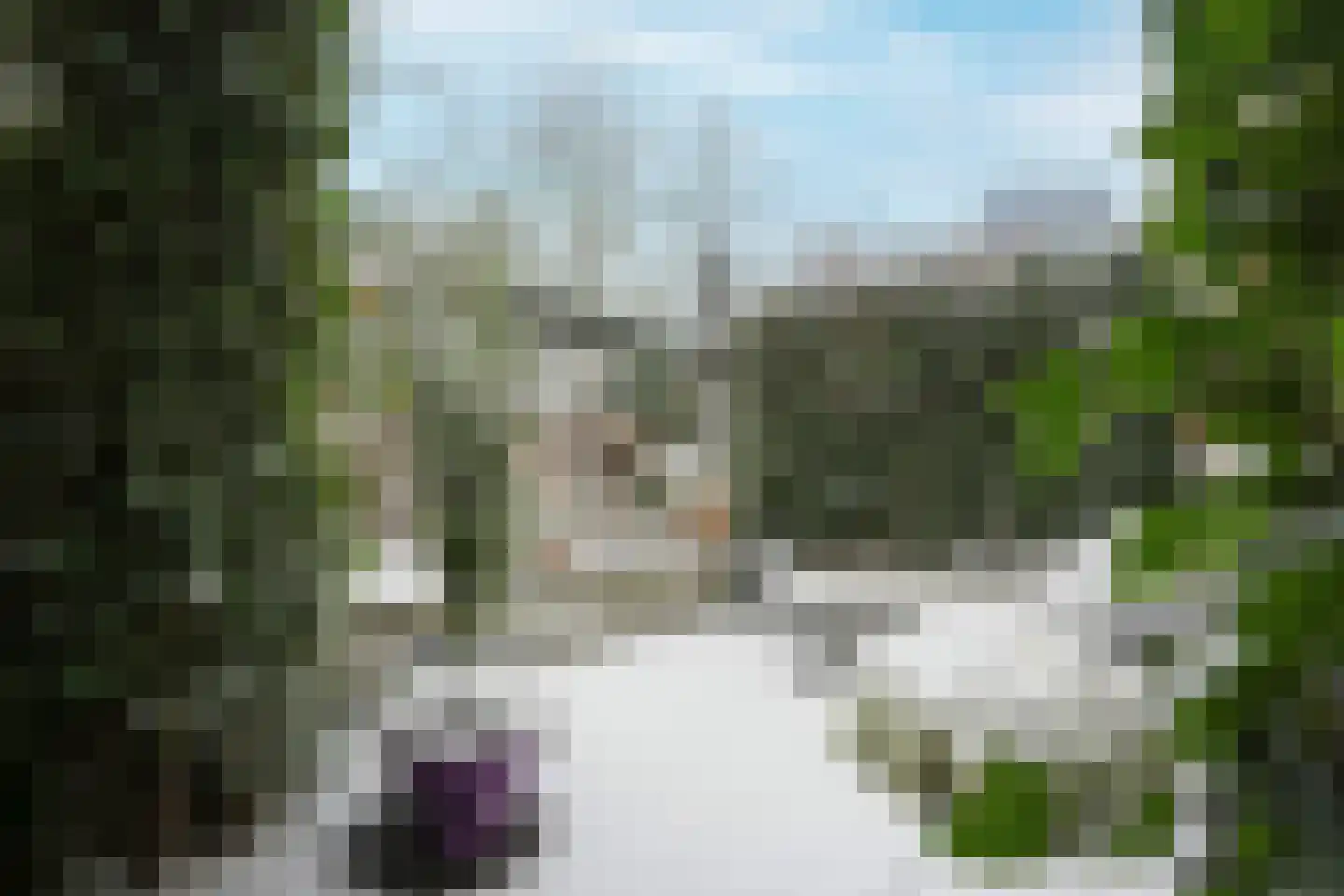 Tivolilaan 59 Arnhem thumbnail 50