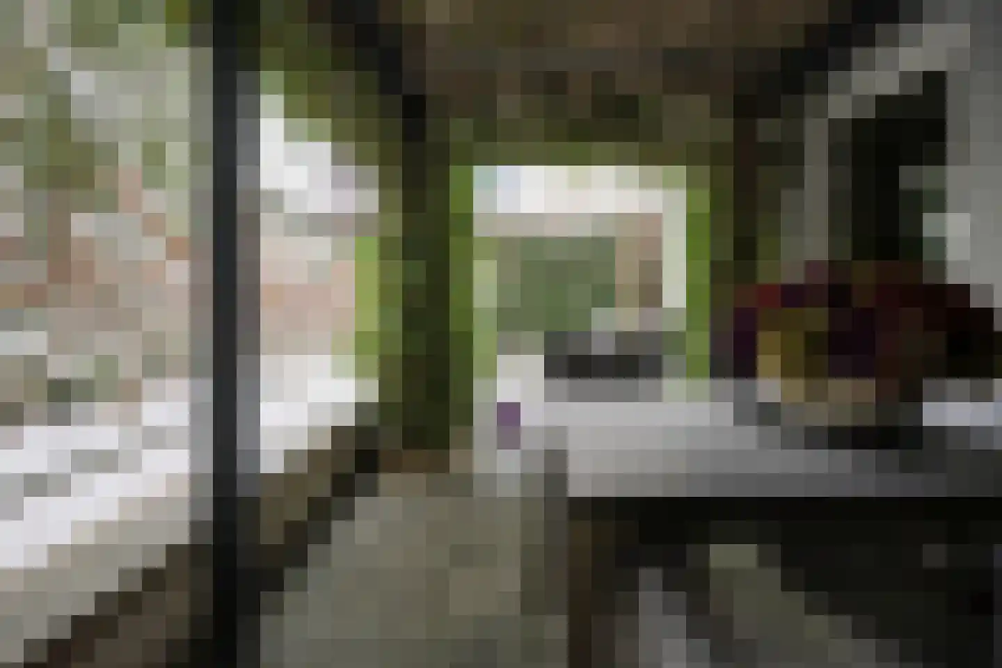 Tivolilaan 59 Arnhem thumbnail 6