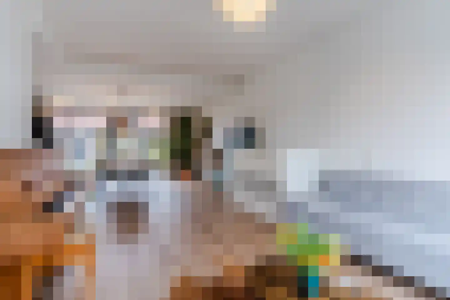 Tivolilaan 63 Eindhoven thumbnail 12