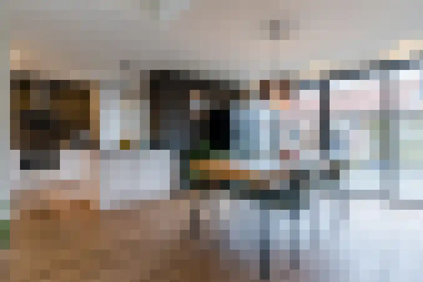 Tivolilaan 63 Eindhoven thumbnail 15