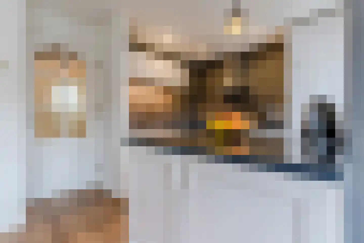 Tivolilaan 63 Eindhoven thumbnail 20