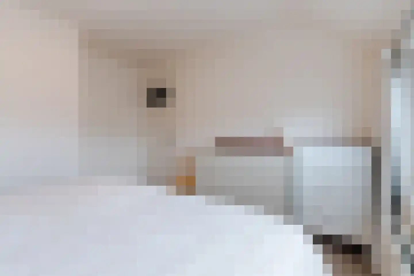 Tivolilaan 63 Eindhoven thumbnail 26