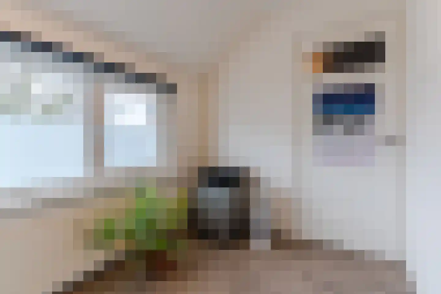 Tivolilaan 63 Eindhoven thumbnail 30