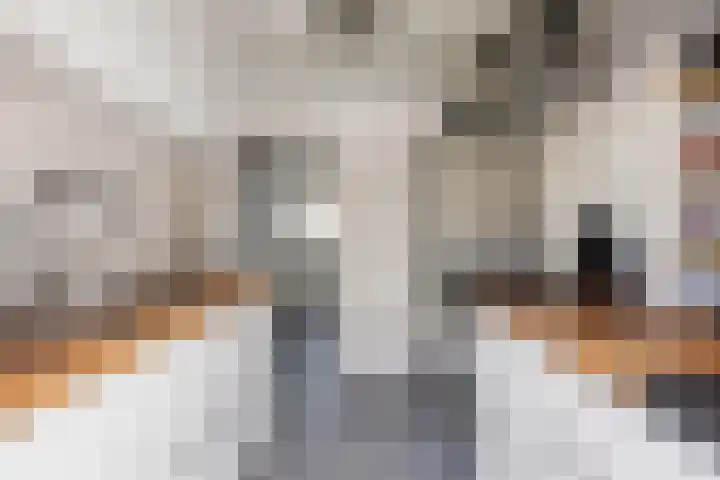 Tivolilaan 89 Eindhoven thumbnail 10