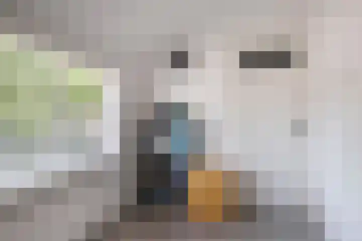 Tivolilaan 89 Eindhoven thumbnail 18